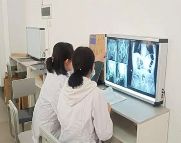 解剖系列