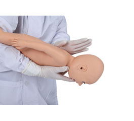 婴儿气道梗塞及CPR 模型